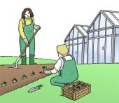 Bild Leichte Sprache: 2 Frauen bei der Gartenarbeit